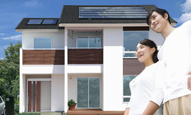 新鮮な情報提供